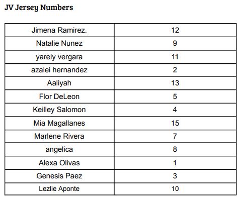 JV Volleyball Roster